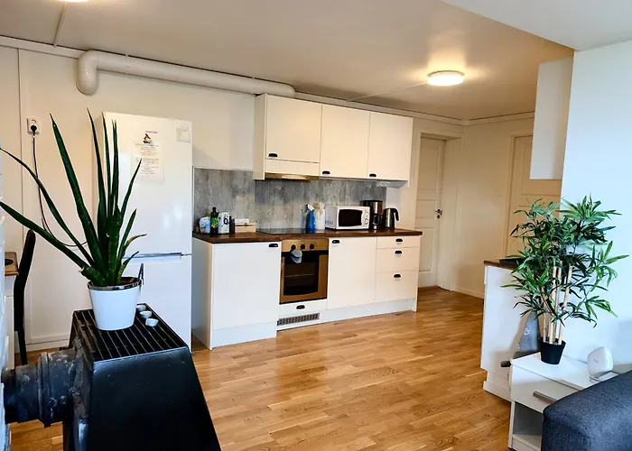 Aurora rooms in shared apartment nr2 We are doing privet Northen lights trips, reindeer trip&Fjord sommaroy trip