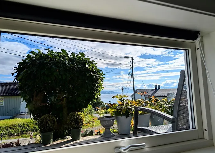 Aurora rooms in shared apartment nr2 We are doing privet Northen lights trips, reindeer trip&Fjord sommaroy trip